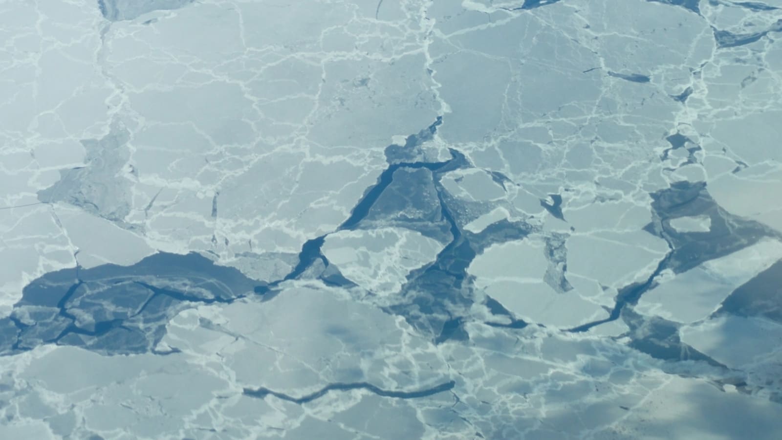 satellite view of southern ocean sea ice floes (file image)