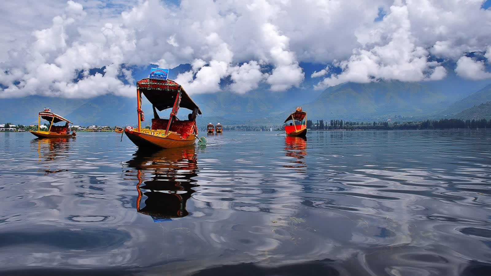 Traditional shikara boats on Dal Lake, Srinagar, under court-ordered motorboat ban.