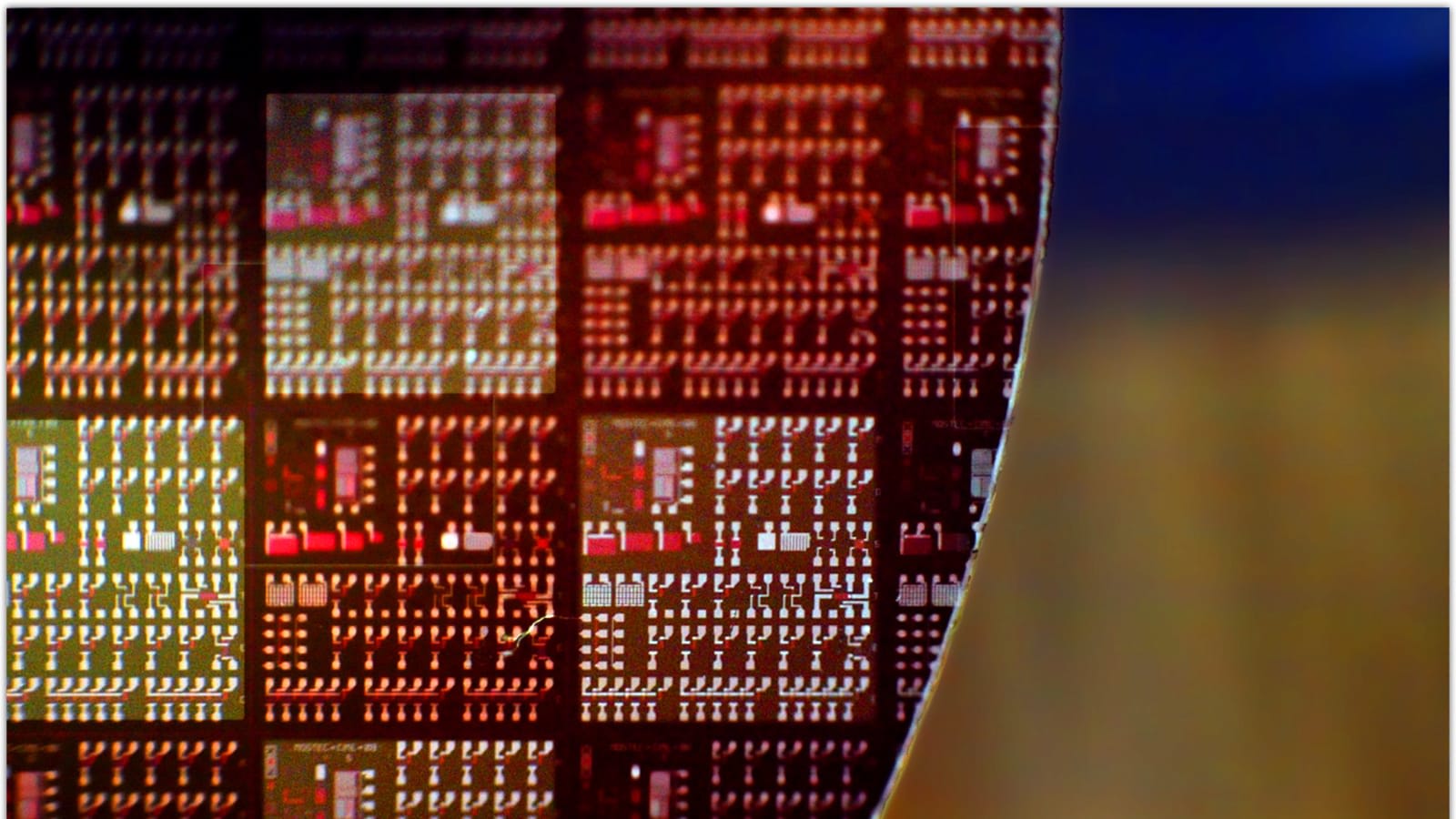 A silicon wafer containing microchips, file image.