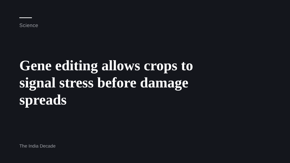 Science — Gene editing allows crops to signal stress before damage spreads