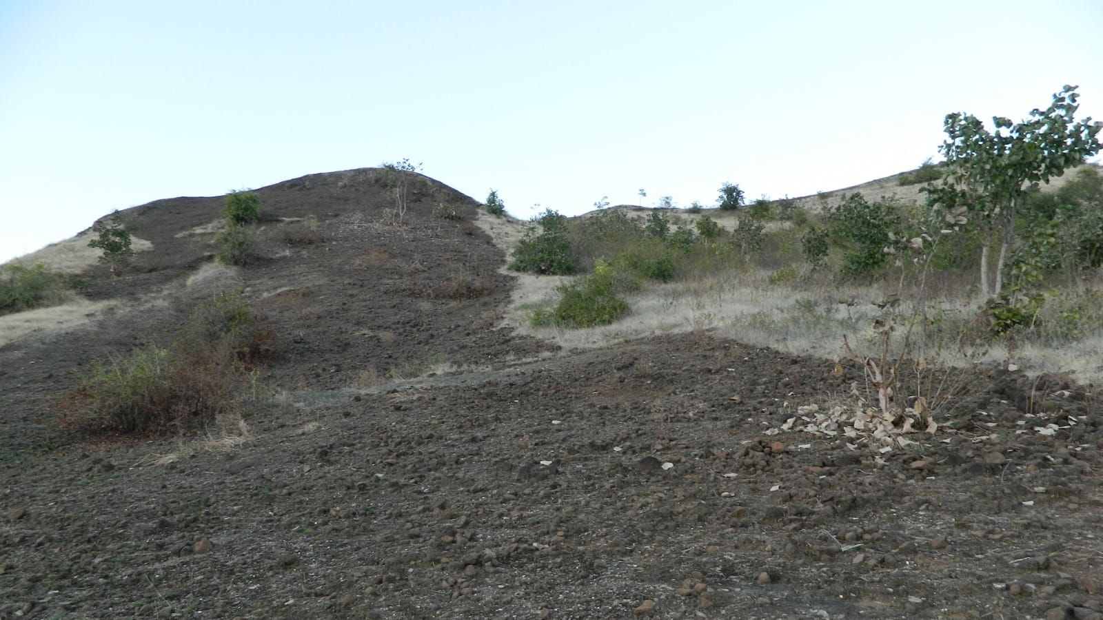 Fire line in Payvihir forest highlights proactive fire management in Western Ghats.