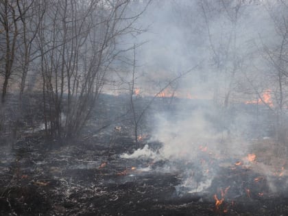 10 гектаров поля потушили пожарные на Ставрополье