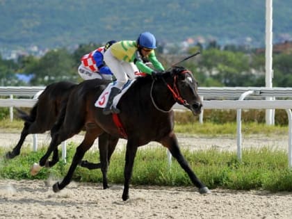 Самое яркое событие осени на пятигорском ипподроме