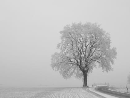 Ночные происшествия в городе: кражи и нападения