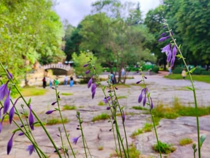 Кисловодск попал в топ-10 популярных курортов среди россиянок