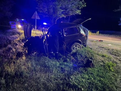 Водитель мопеда погиб в ДТП с автомобилем Niva в Будённовском округе