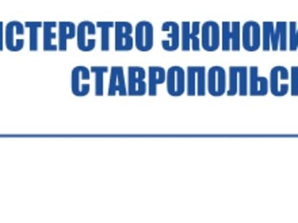 Деньги на мечту: на Ставрополье определили получателей грантов для социальных предприятий и молодых бизнесменов