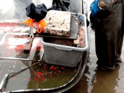 В Новоселицком районе выявили факт незаконной добычи водных биологических ресурсов