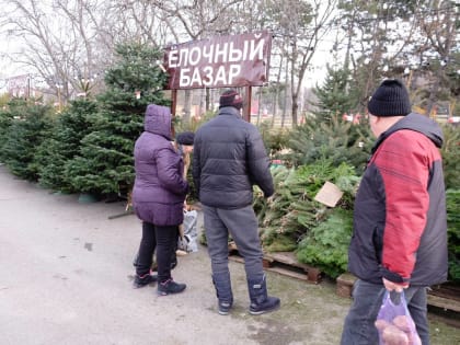 2024-й все ближе. В Пятигорске проходит марафон новогодних ёлок