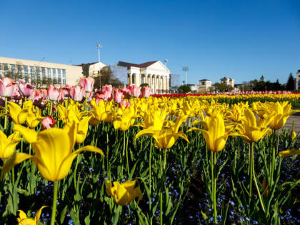 До плюс 25 градусов потеплеет на Ставрополье 16 мая