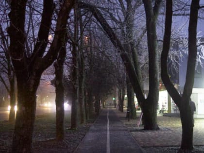 Туман, дожди и ночные заморозки пообещали на Ставрополье в последние январские дни