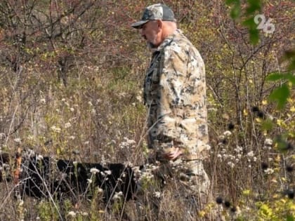 Минприроды ищет причины массовой гибели диких животных на Ставрополье