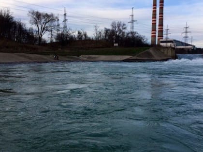 Мёртвых уток обнаружили на берегу Новотроицкого водохранилища