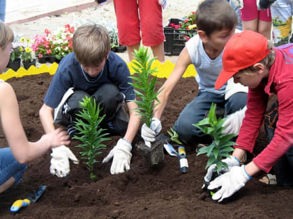 ПУСТЬ РАБОТАЮТ В САДУ,  ПРИУЧАЮТСЯ К ТРУДУ