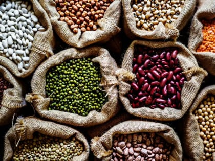 За первую половину года на Ставрополье экспортировали более 1 тыс. тонн семян