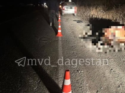 Автомобиль врезался в лошадь и сорвался в обрыв в Дагестане — один человек погиб
