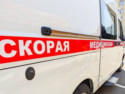 Молодые кадры и аптеки в сёлах: на Совете старейшин с участием Николая Великданя обсудили состояние медицины Ставрополья