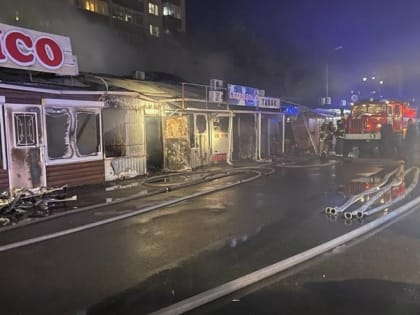 Ставропольская прокуратура проверит обстоятельства пожара в краевой столице