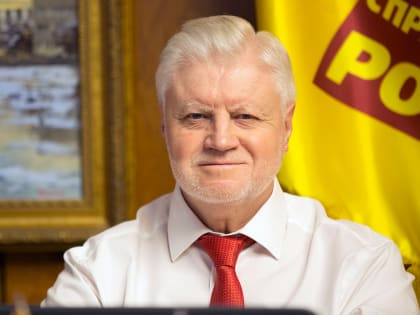 Лидер СРЗП об увеличении явки на президентских выборах