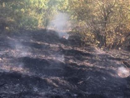 В Кисловодском национальном парке ликвидировали пожар