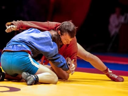 Ставропольские самбисты собрали урожай медалей в Нальчике