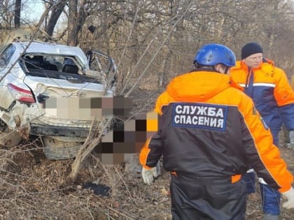 Прокуратура подключилась к выяснению обстоятельств ДТП с семью погибшими на Ставрополье