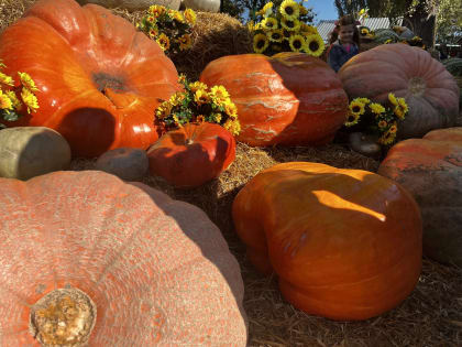 Синоптики прогнозируют потепление в городах России