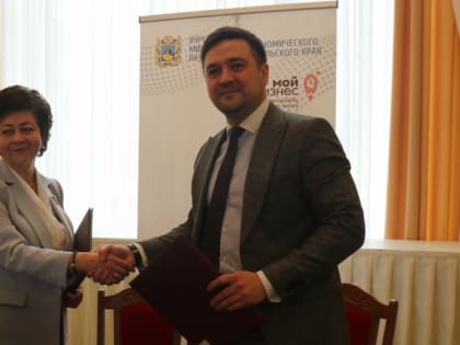 Объём льготных займов для предпринимателей увеличат на Ставрополье