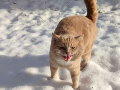 Потепление до +9 градусов и сильный ветер ожидает ставропольцев в выходные