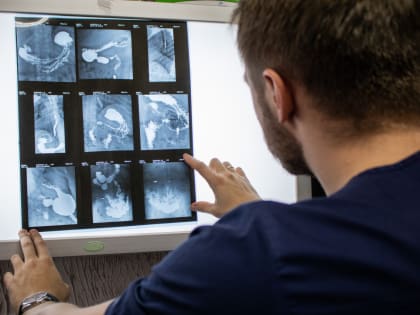 В 2023 году Ставрополье экспортировало 1,6 млн&nbsp;тонн агропромышленной продукции