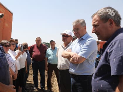 «Есть куда расти»: глава Ставрополья обозначил вектор развития овцеводства в крае