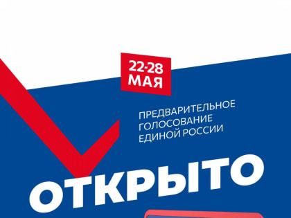 Стартовало электронное предварительное голосование партии