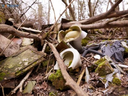 Спасать природу Ставрополья депутаты края планируют экопросвещением