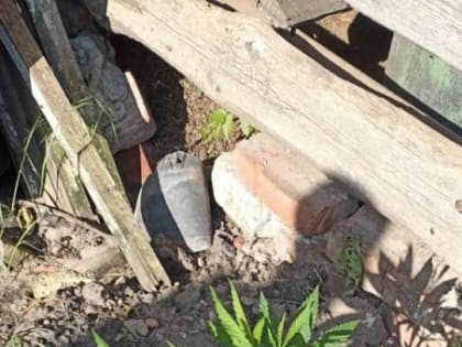 У жителя Грачёвского округа изъяли 45 кустов наркосодержащих растений