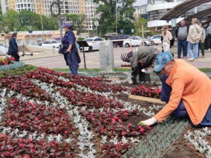 В Кисловодске высадили более 280 тысяч новых растений к летнему сезону