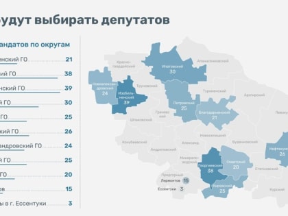 Камеры будут, трансляции – нет. Как 11 сентября пройдут выборы на Ставрополье