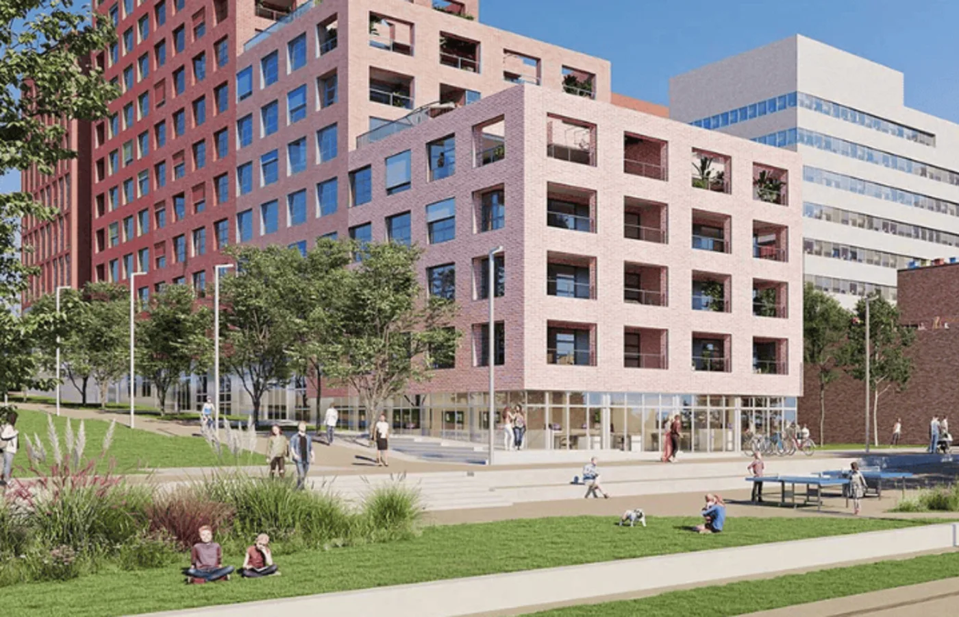 Visuel page conseil - 2025-12-29T095106.677