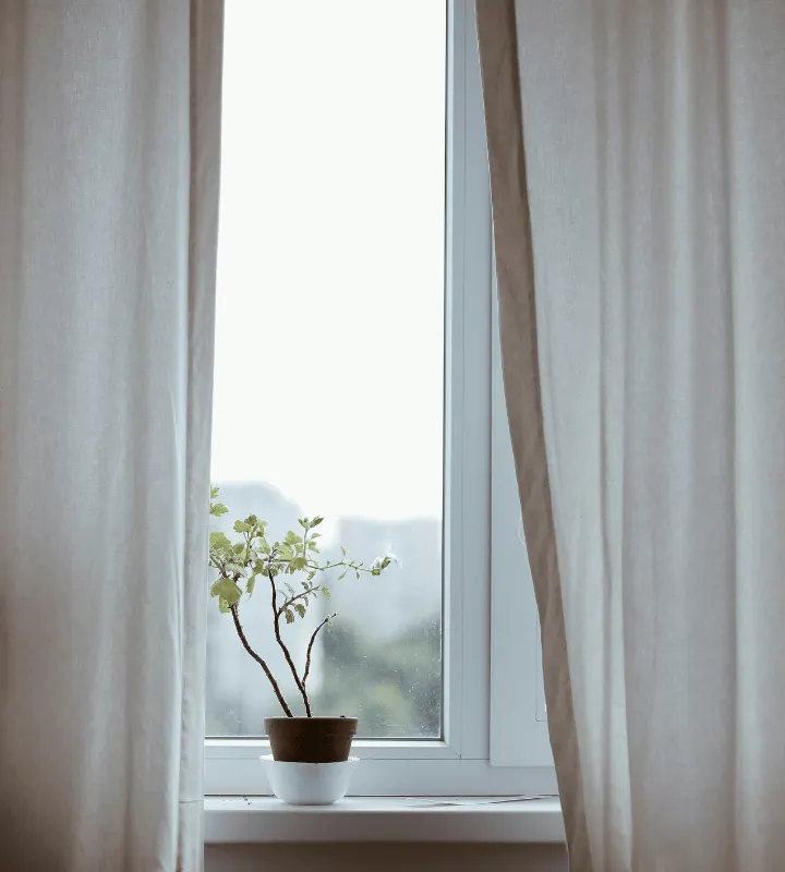 Fenêtre avec voilage et plante