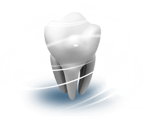 teeth