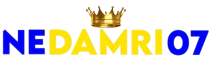 Logo NEDAMRI07