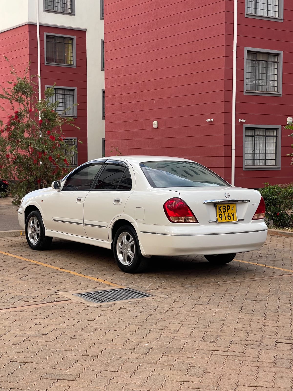 Nissan Bluebird Sylphy