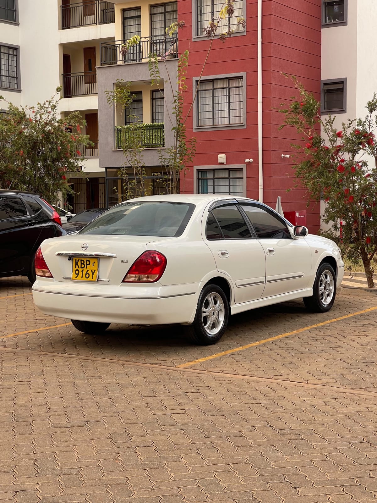 Nissan Bluebird Sylphy