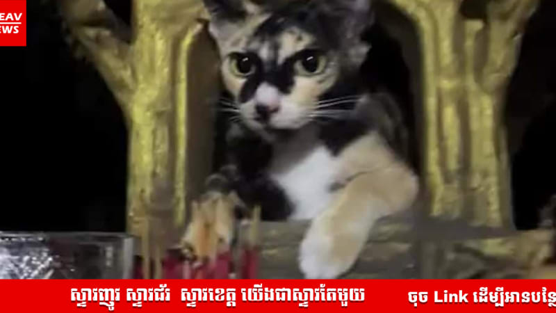 ចុមយក្សហើយ! មហាជនមើលហើយព្រឺក្បាលបាសរោមគ្រប់គ្នា ក្រោយមានការបង្ហោះវីដេអូមួយដែល លេចមុខព្រះភូមិផ្ទះស្ដែងៗនាពេលរាត្រី។