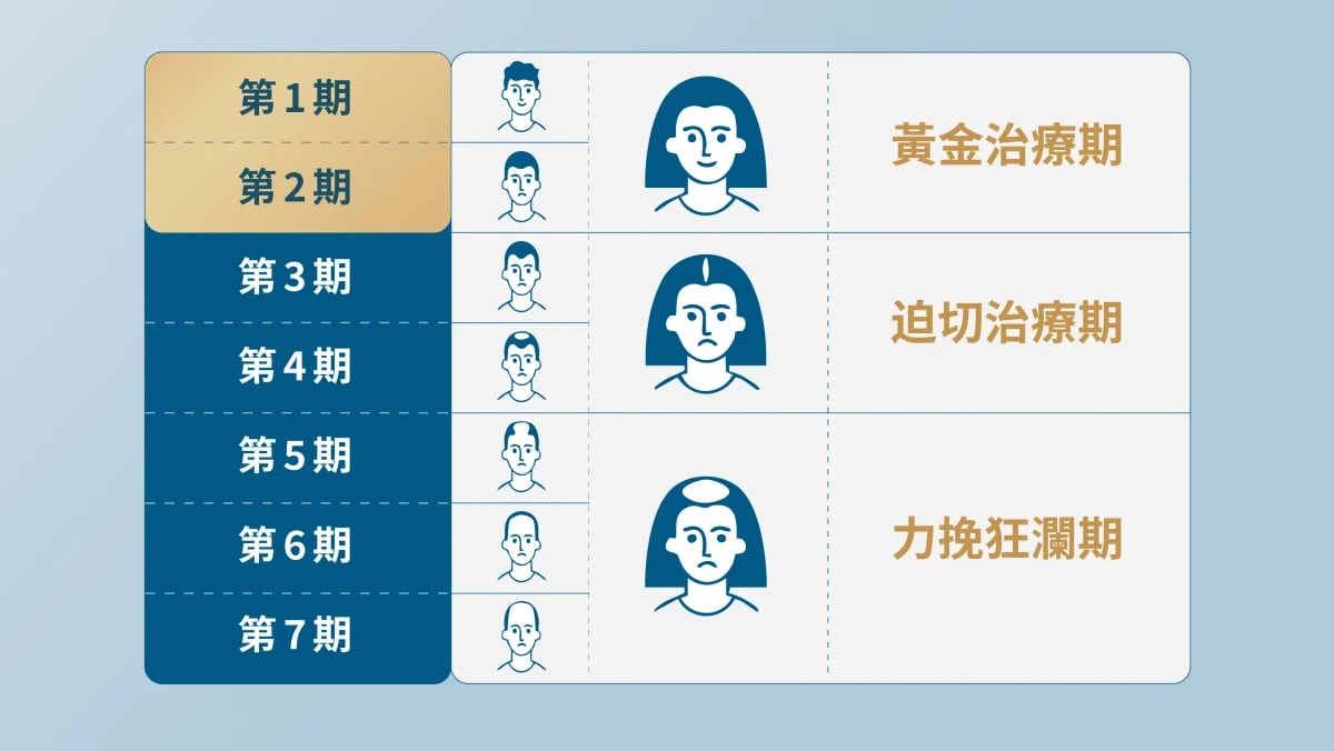 治療脫髮黃金期