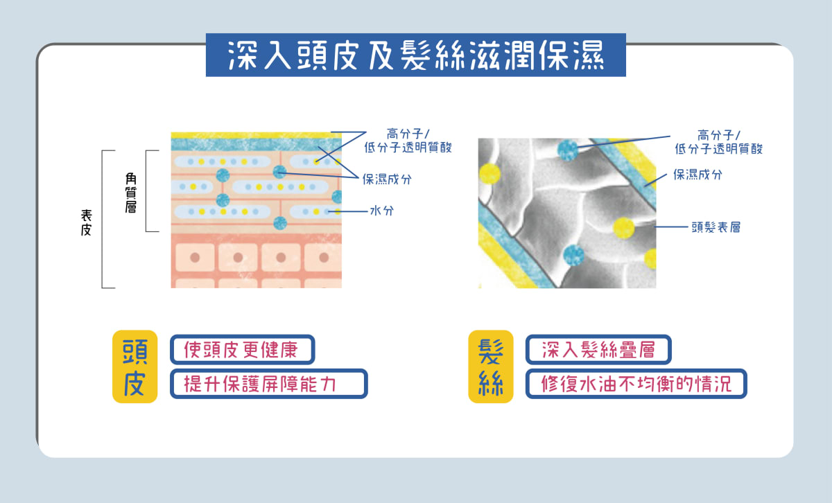 頭皮護理