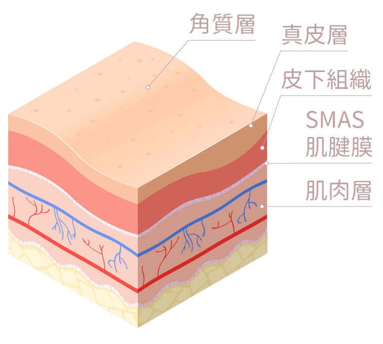 膠原槍 皮膚