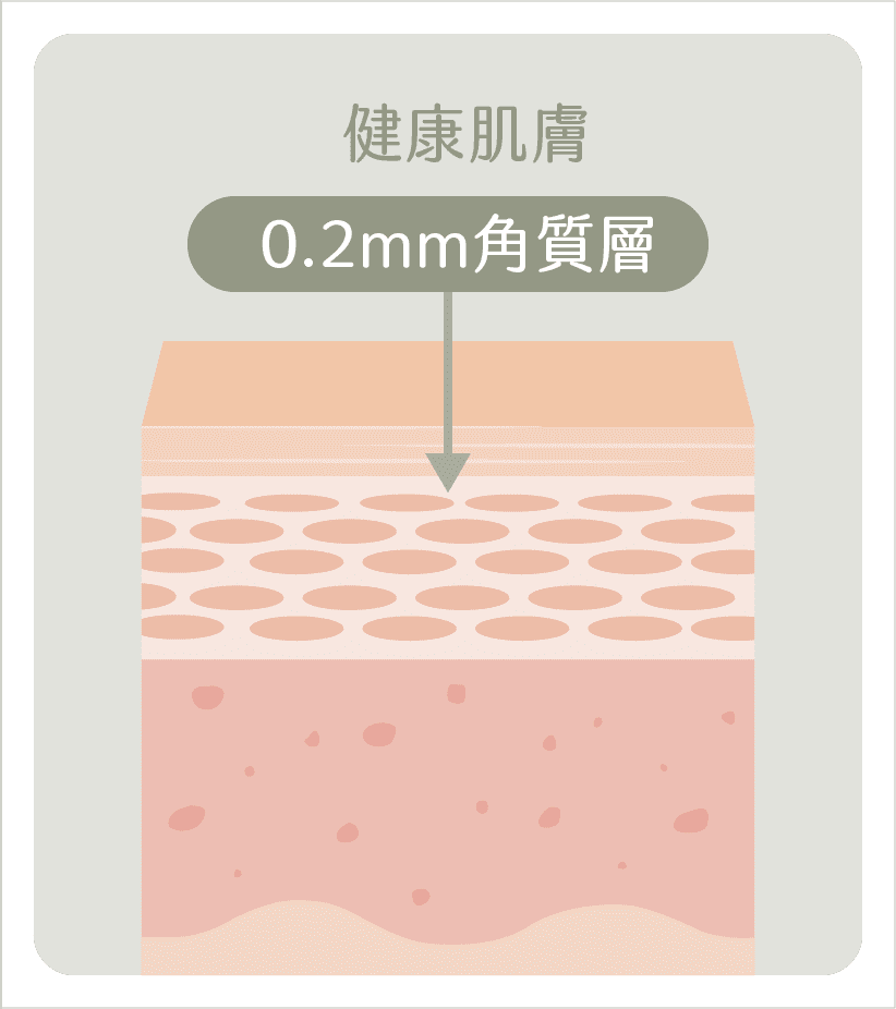健康肌膚