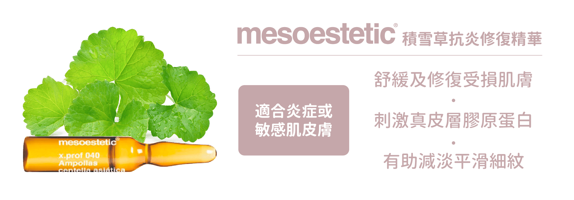 Bellasonic+積雪草精華
