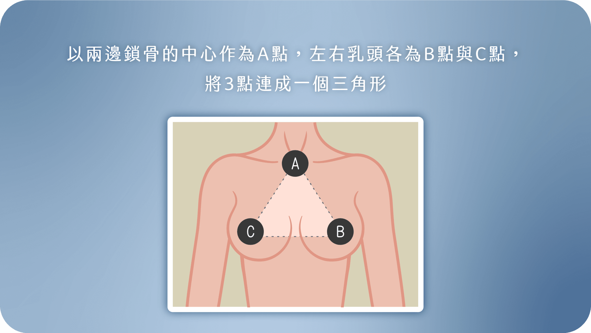  完美胸型黃金比例