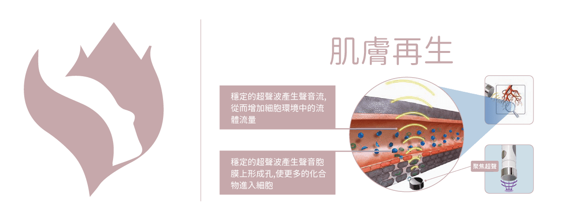 肌膚再生療程